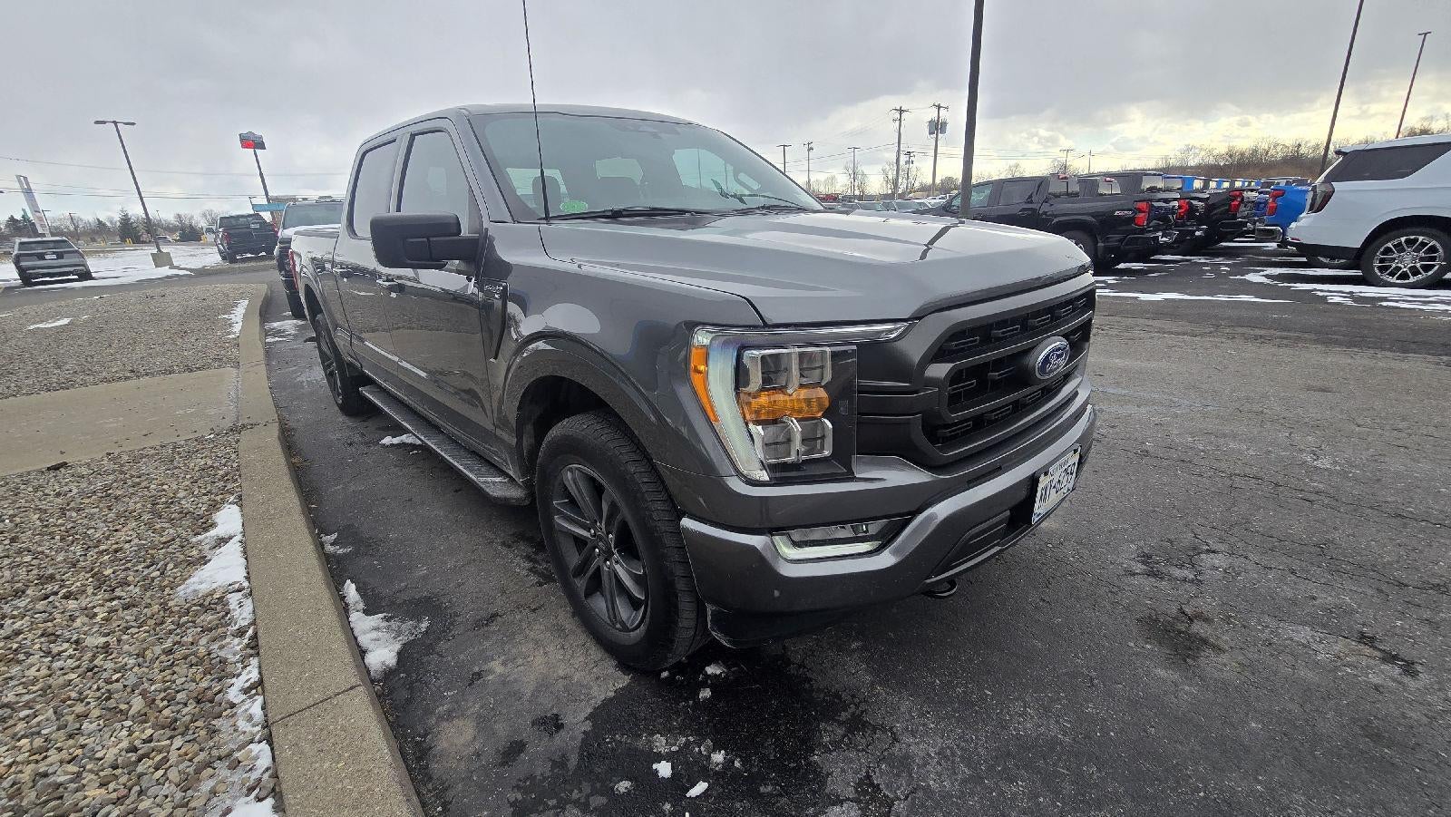 2023 Ford F-150 XLT
