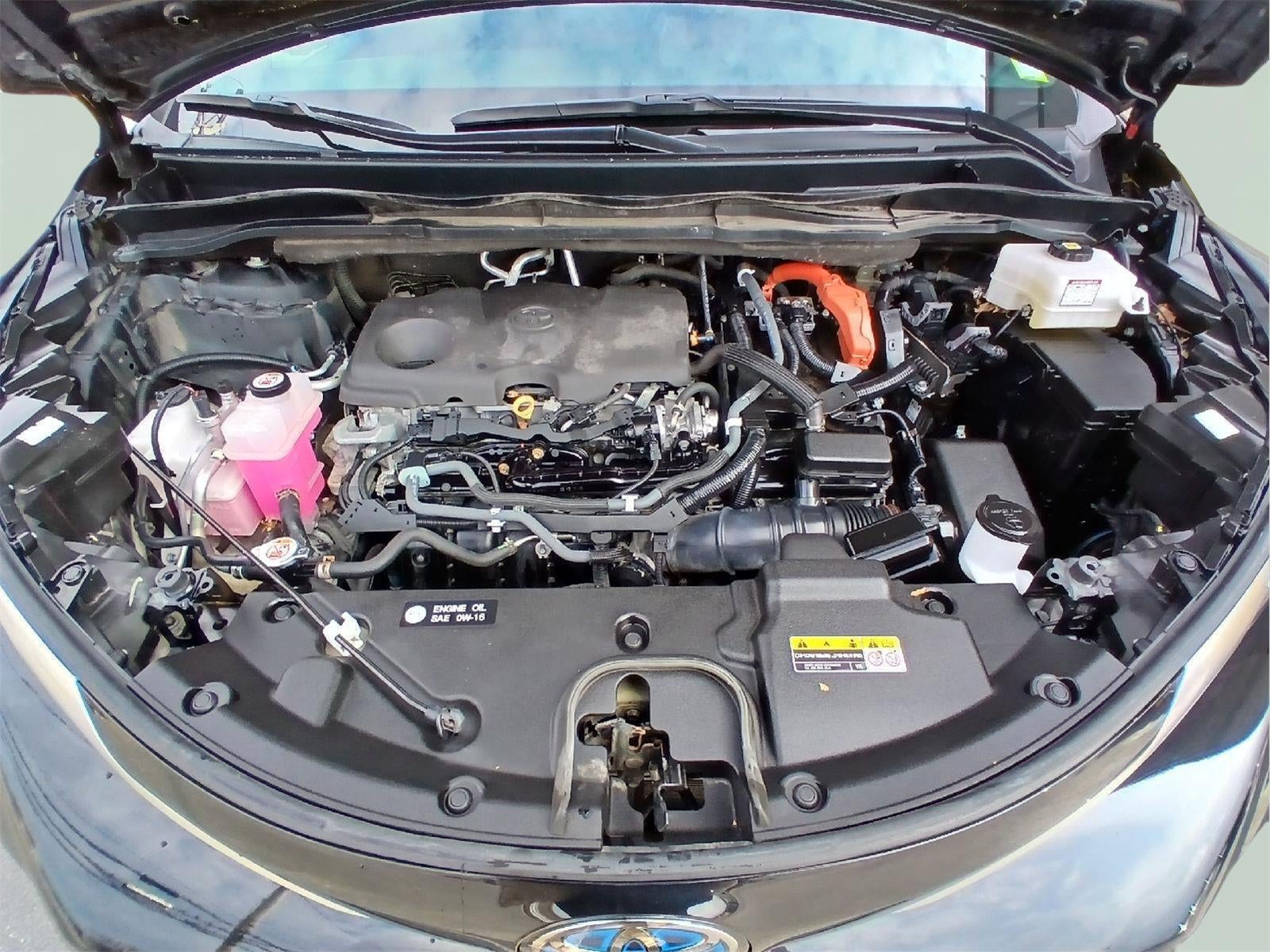 2022 Toyota Sienna XSE 7-Passenger