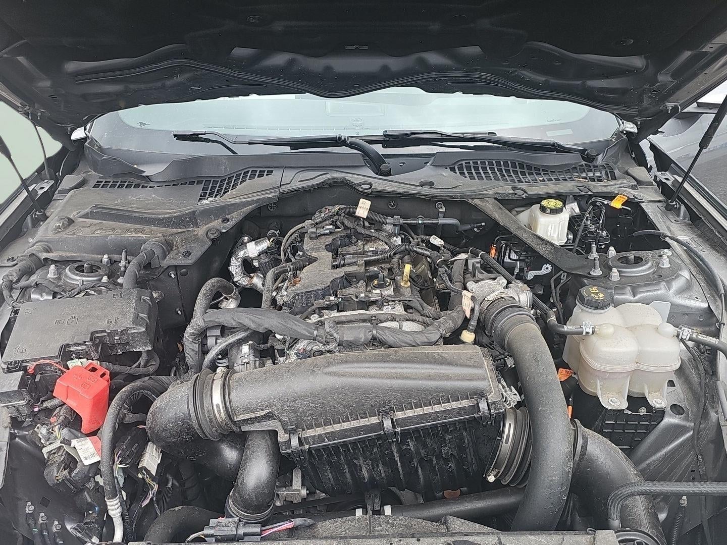 2024 Ford Mustang EcoBoost