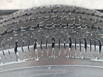 2025 Chevrolet Express Passenger 1LT