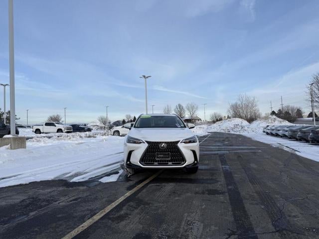 2025 Lexus NX 250 AWD