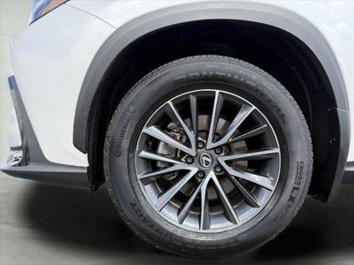 2024 Lexus NX 350 AWD