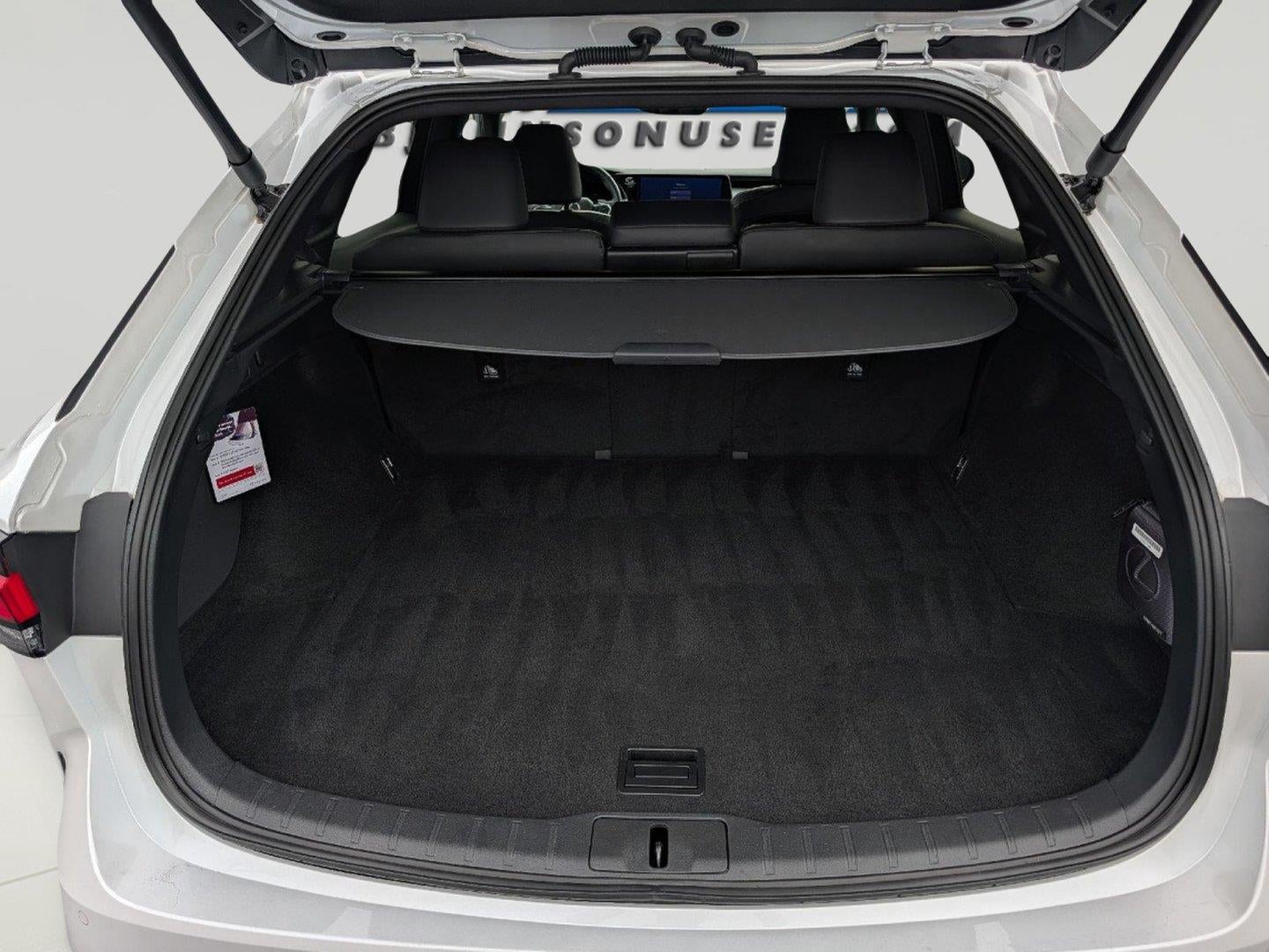2025 Lexus RX 350 RX 350