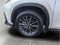 2024 Lexus NX PREMIUM