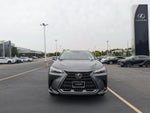 2024 Lexus Nx 350H NX 350h Premium