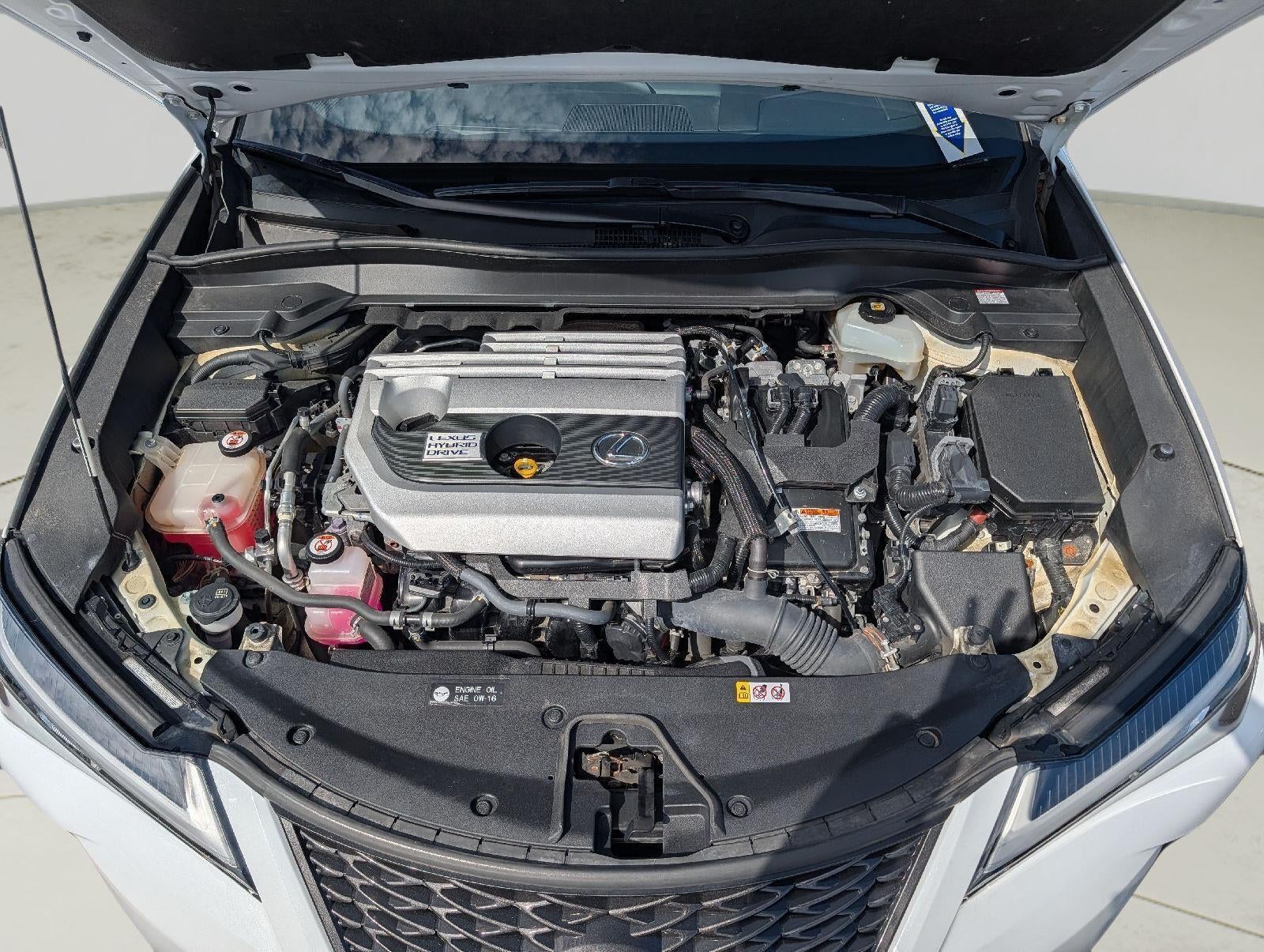 2019 Lexus UX 250h