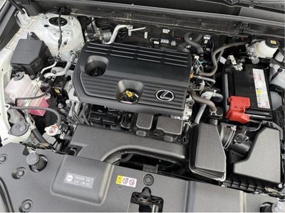2024 Lexus NX 250 Base