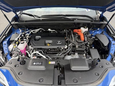 2024 Lexus NX AWD