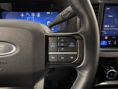 2025 Ford Super Duty F-250 SRW Platinum